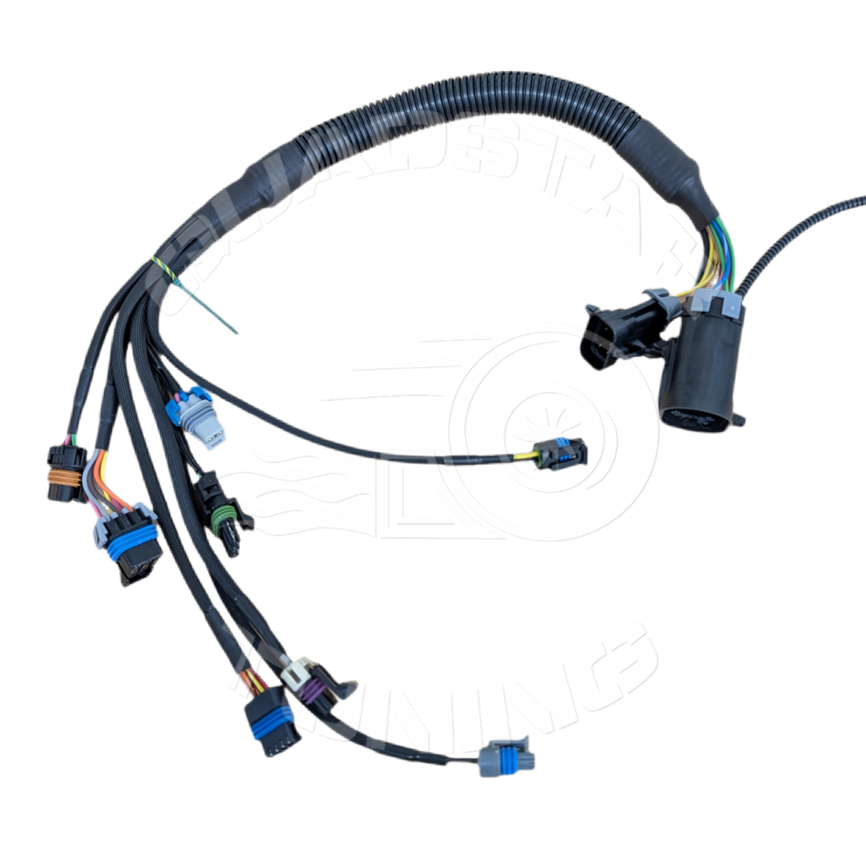 Engine Wiring Harness