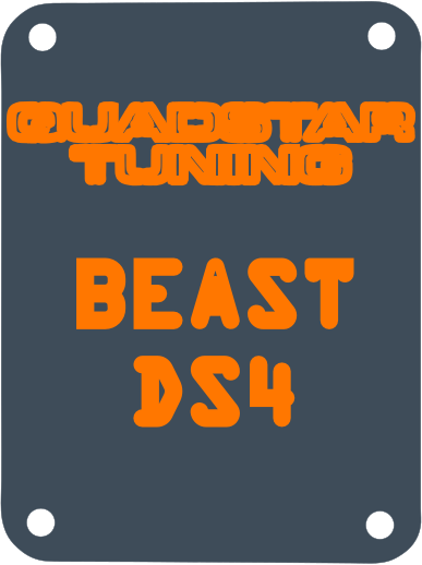 THE BEAST DS4 Injection Pump – Quadstar Tuning LLC