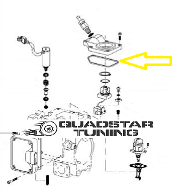 Top Cover Seal for DS Injection Pump