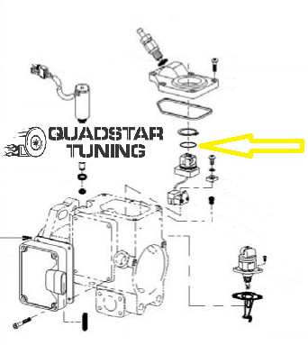 Optic Sensor Oring for DS Injection Pump