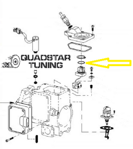 Optic Sensor Oring for DS Injection Pump
